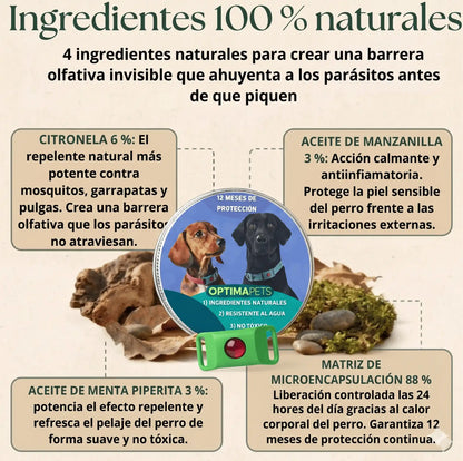 Ayuda a proteger a tu perro contra garrapatas, flebótomos y pulgas | 12 meses de protección natural