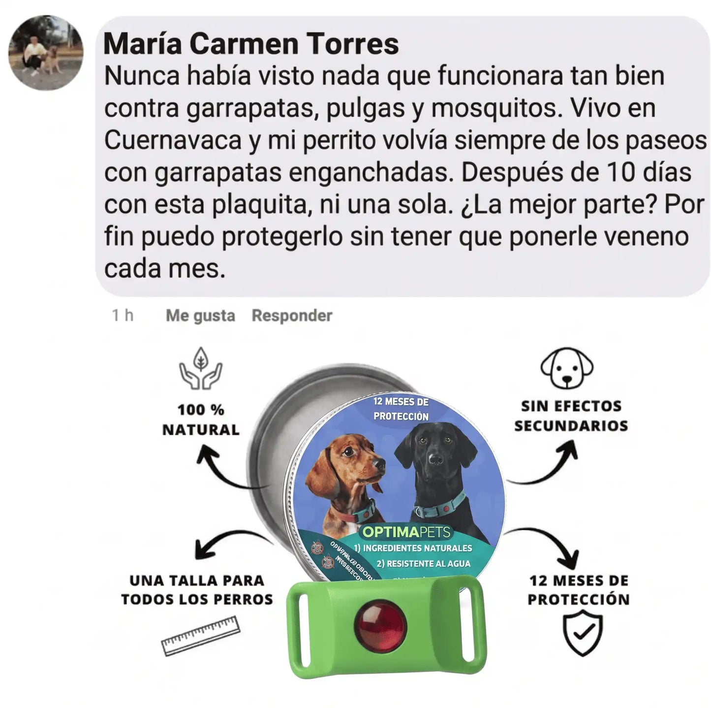 Ayuda a proteger a tu perro contra garrapatas, flebótomos y pulgas | 12 meses de protección natural