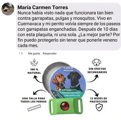 Ayuda a proteger a tu perro contra garrapatas, flebótomos y pulgas | 12 meses de protección natural