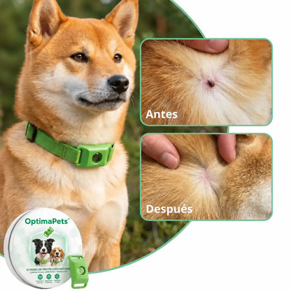 OptimaPets - 12 Meses de Protección Antipulgas y Garrapatas 100% Natural para Perros