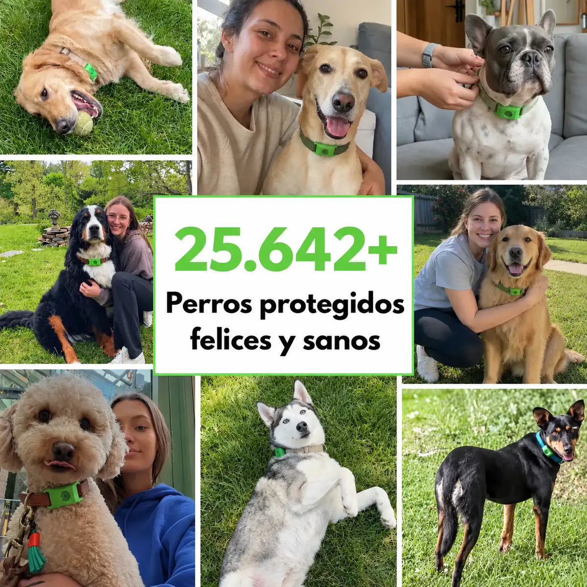 OptimaPets - 12 Meses de Protección Antipulgas y Garrapatas 100% Natural para Perros