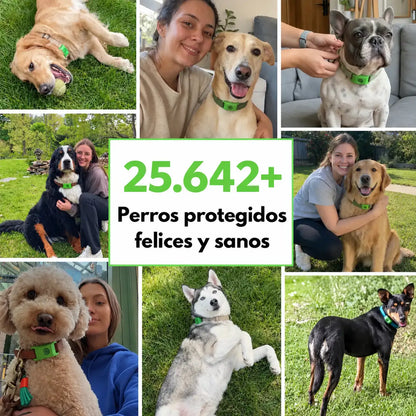 OptimaPets - 12 Meses de Protección Antipulgas y Garrapatas 100% Natural para Perros